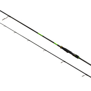 c13138 243.jpg