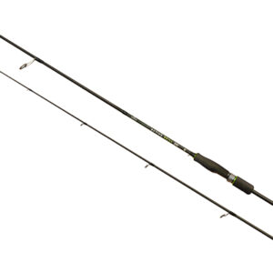 c13161 210.jpg